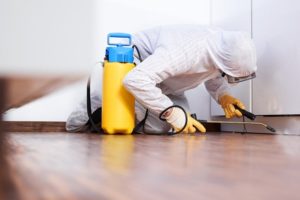 REASONS TO CHOOSE PEST CONTROL COMPANY OVER DOING-IT-YOURSELF