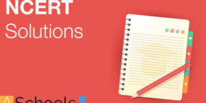 Significance of NCERT Solutions