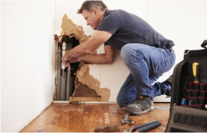 Restorations and repairs by Service restore