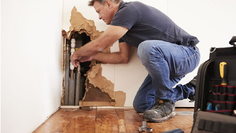 Restorations and repairs by Service restore