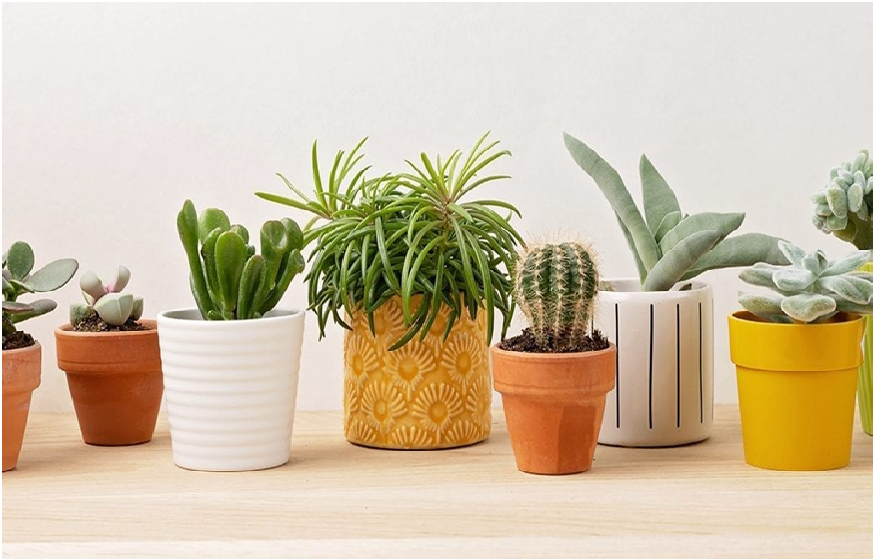 Designing Your Garden With Garden Pots and Planters