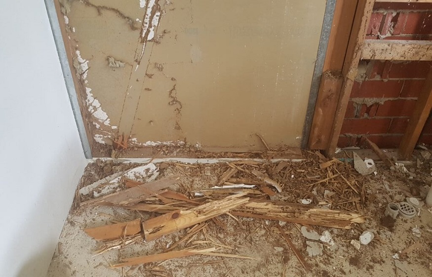 Get Rid of Termite Damage By Hiring Best Termite Inspections