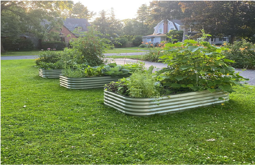 A Step-By-Step Guide To Creating The Perfect Raised Garden Bed All By Yourself