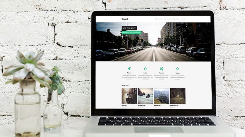 business with WordPress