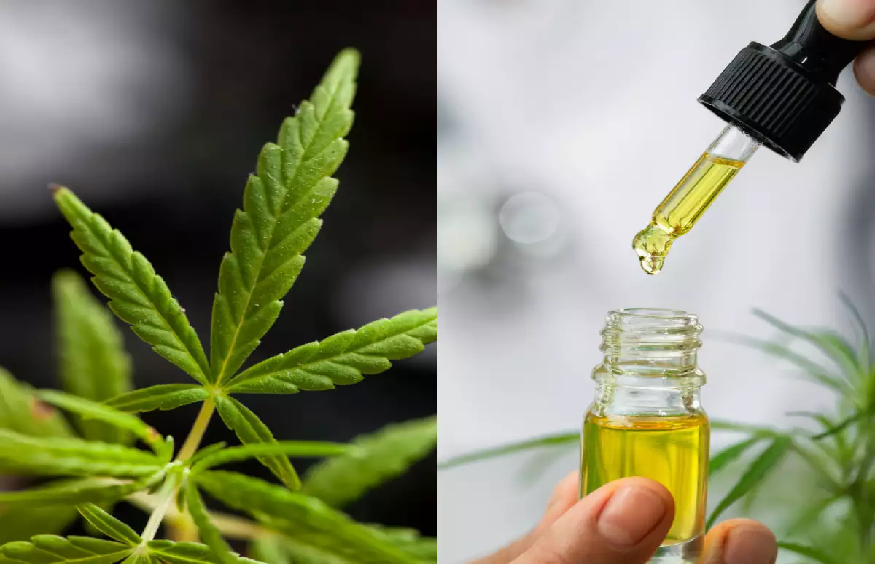 CBD Dosage: What’s the Right Amount to Consume?